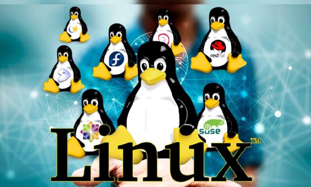 Various Types of Linux Operating Systems and Their Advantages